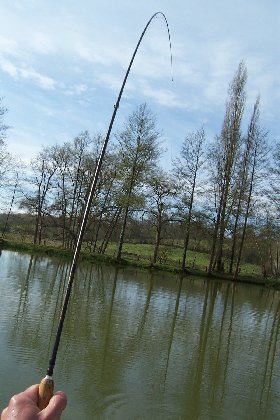CANNE POUR SOIE 4/5 ET POISSON DE 9 LBS...